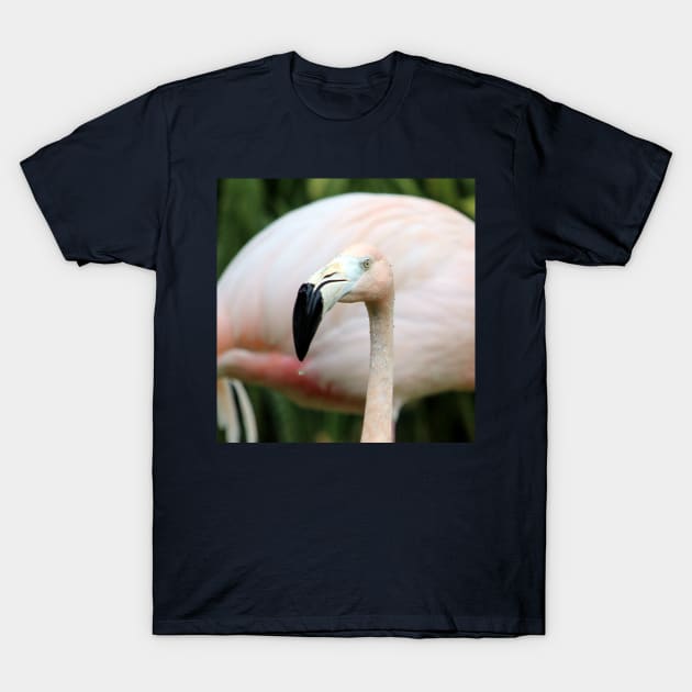 Flamingo T-Shirt by croper